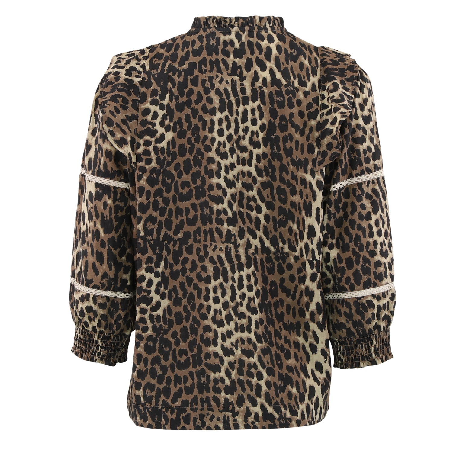 Continue Joey leo - Online - Mode