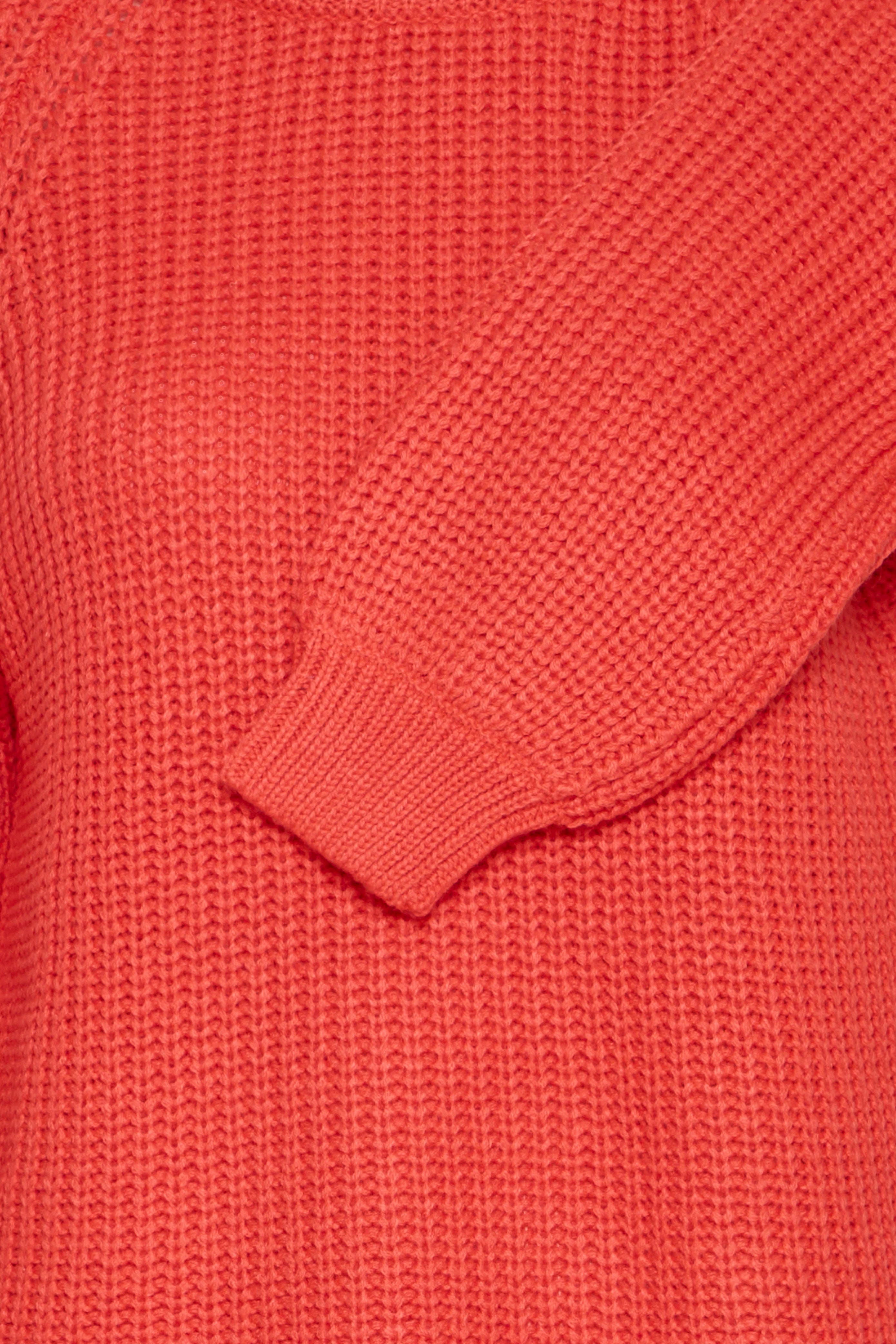 Fransa FRerni pullover 1 poinsettia - Online - Mode